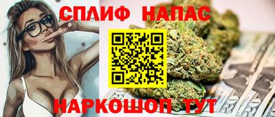 ПСИЛОЦИБИНОВЫЕ ГРИБЫ Ачхой-Мартан
